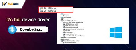 hid smart card no driver found|hid driver download windows 10.